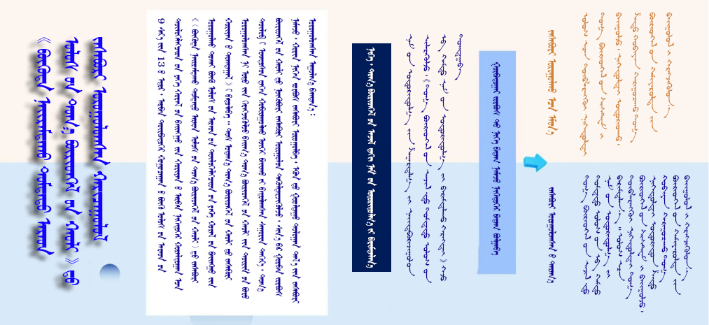 20241121-1.jpg